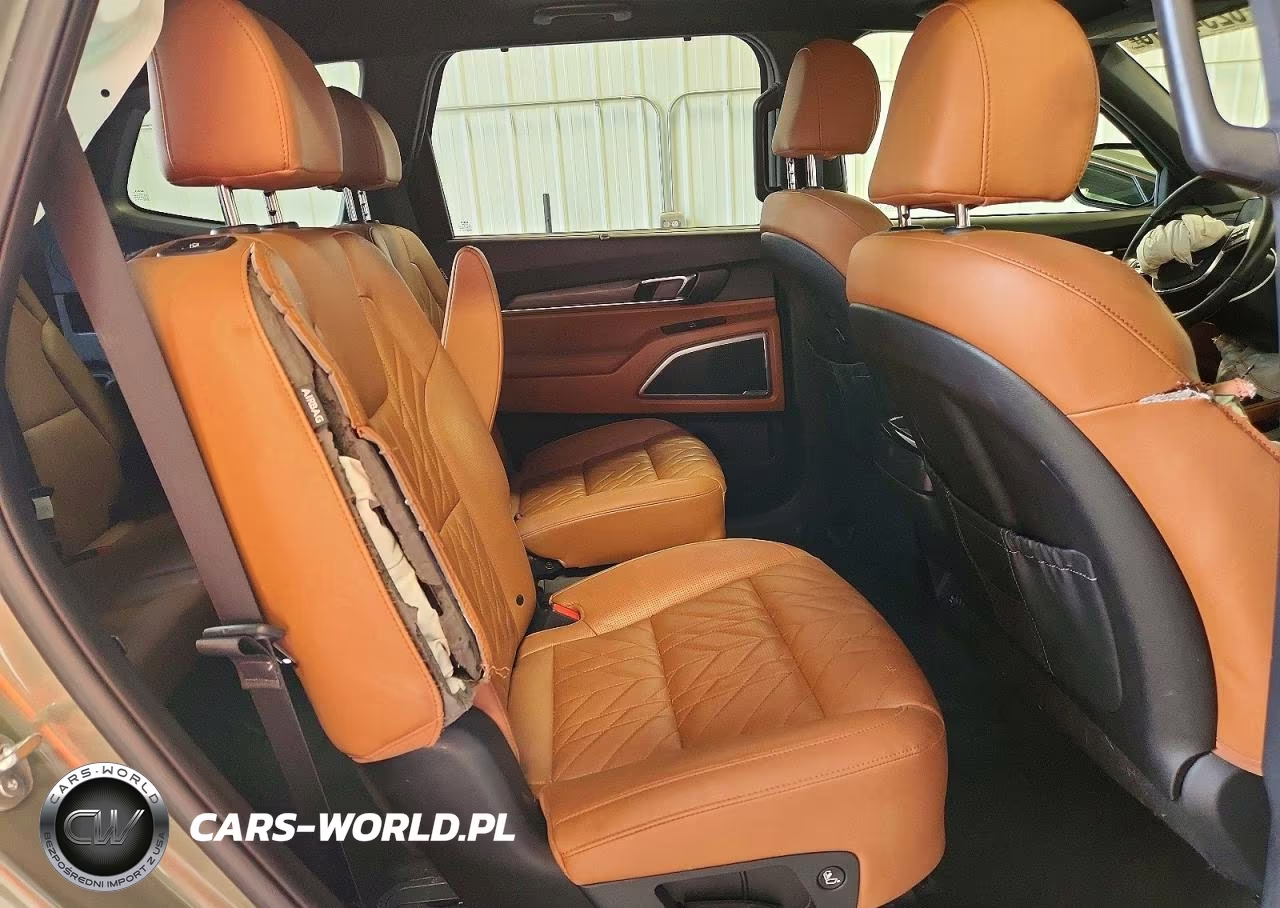2024 Kia Telluride Ex X-Line VIN:5XYP3DGC1RG536282 - 11