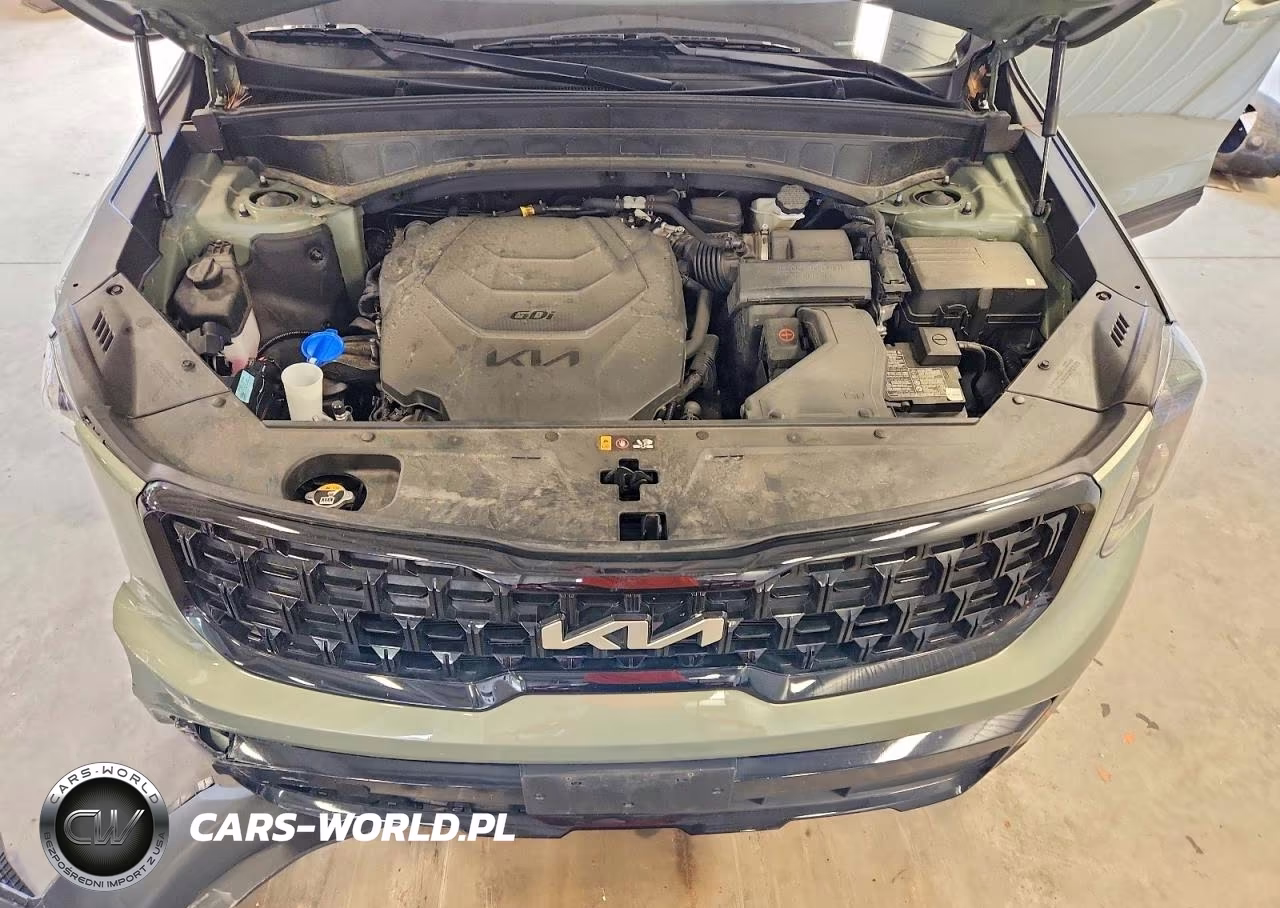 2024 Kia Telluride Ex X-Line VIN:5XYP3DGC1RG536282 - 12