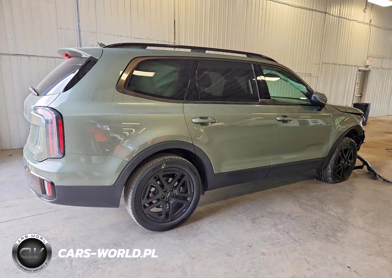2024 Kia Telluride Ex X-Line VIN:5XYP3DGC1RG536282 - 3