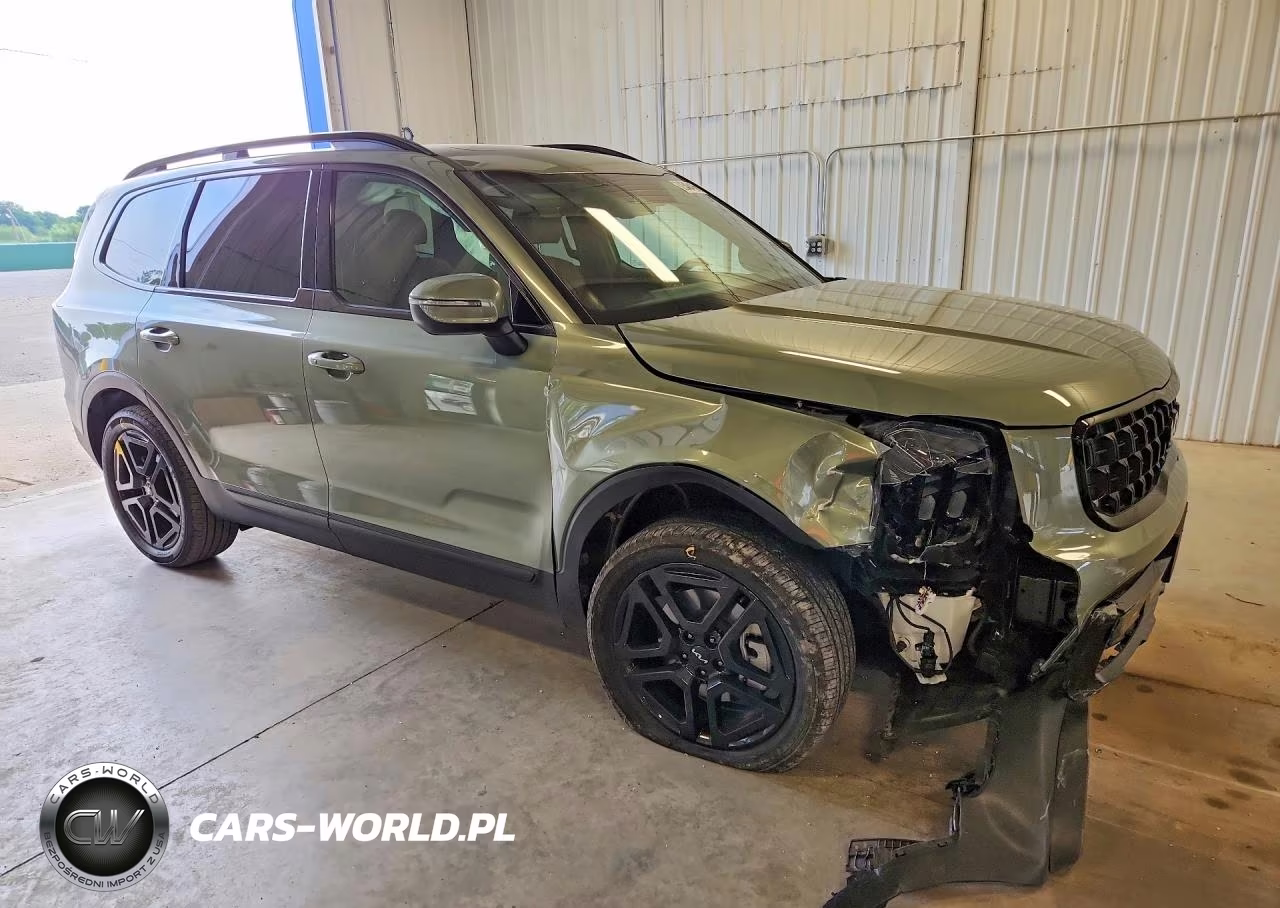 2024 Kia Telluride Ex X-Line VIN:5XYP3DGC1RG536282 - 4