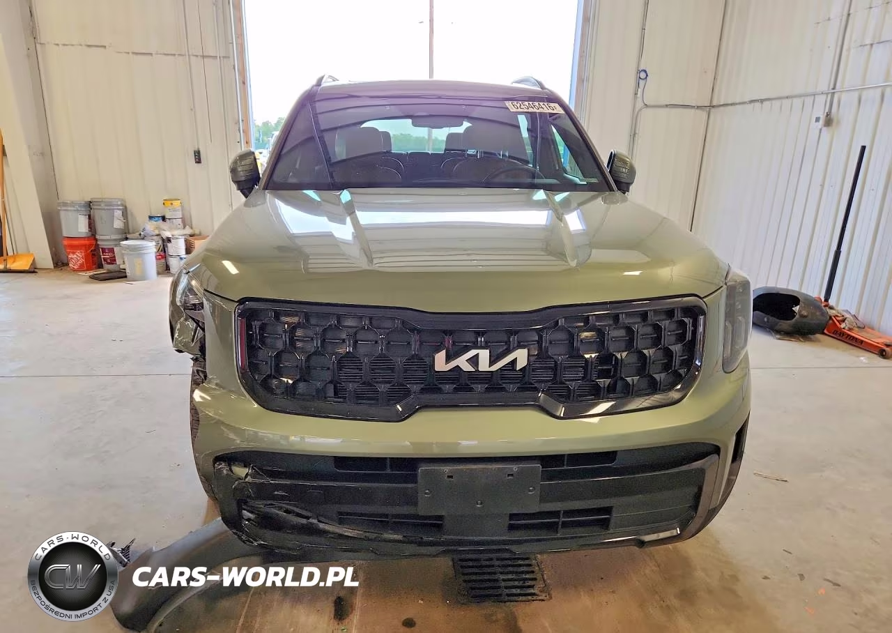 2024 Kia Telluride Ex X-Line VIN:5XYP3DGC1RG536282 - 5
