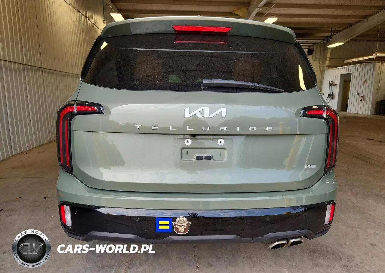 2024 Kia Telluride Ex X-Line VIN:5XYP3DGC1RG536282 - 6