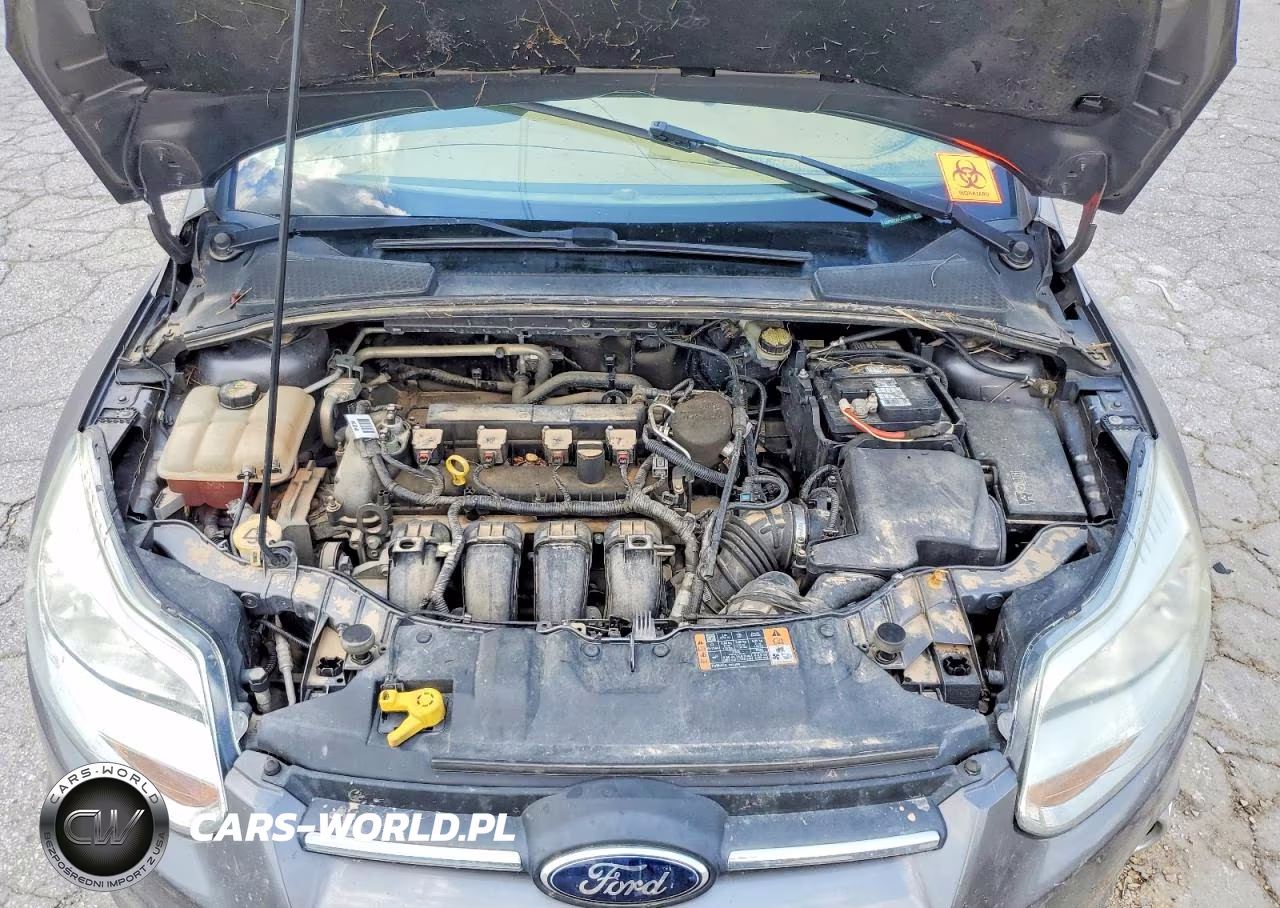 2014 Ford Focus Se VIN:1FADP3F2XEL425809 - 11