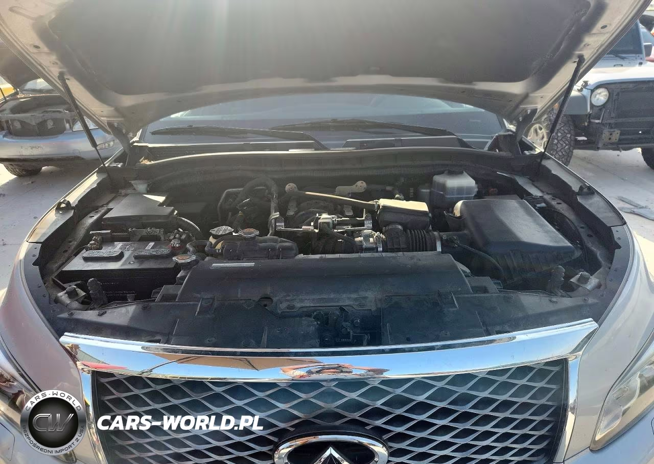 2016 Infiniti Qx80 Base VIN:JN8AZ2NE3G9124283 - 12
