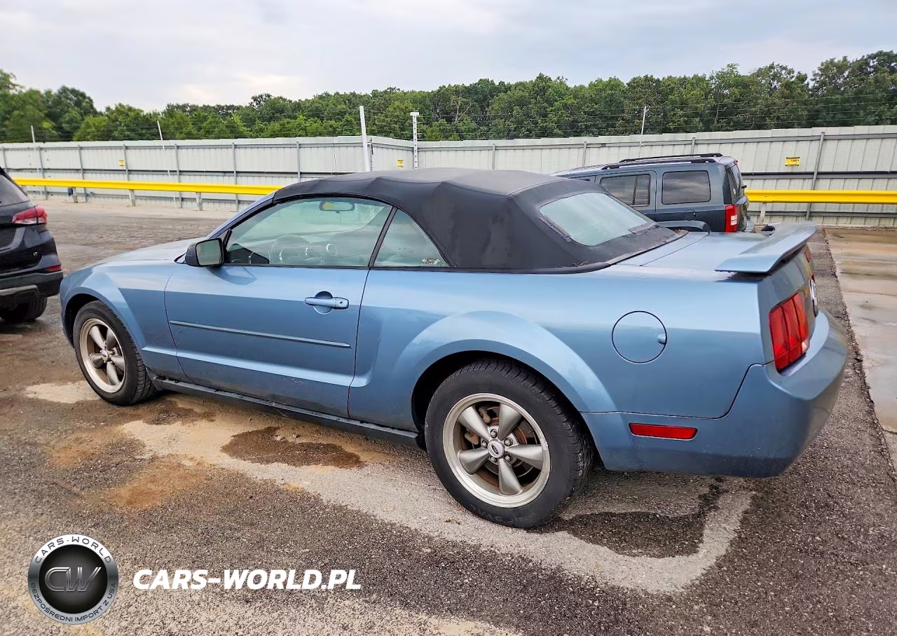 2006 Ford Mustang VIN:1ZVFT84N065109055 - 2