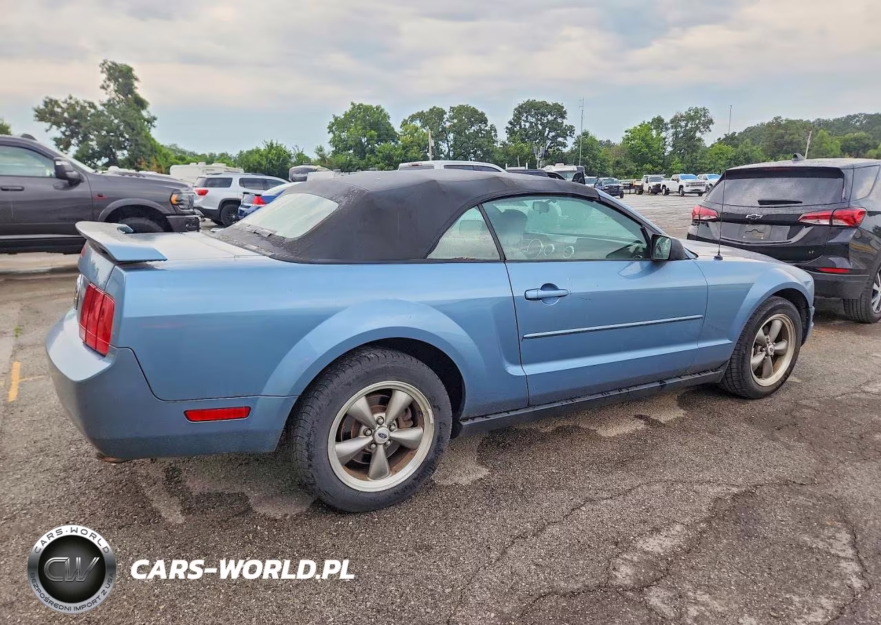 2006 Ford Mustang VIN:1ZVFT84N065109055 - 3