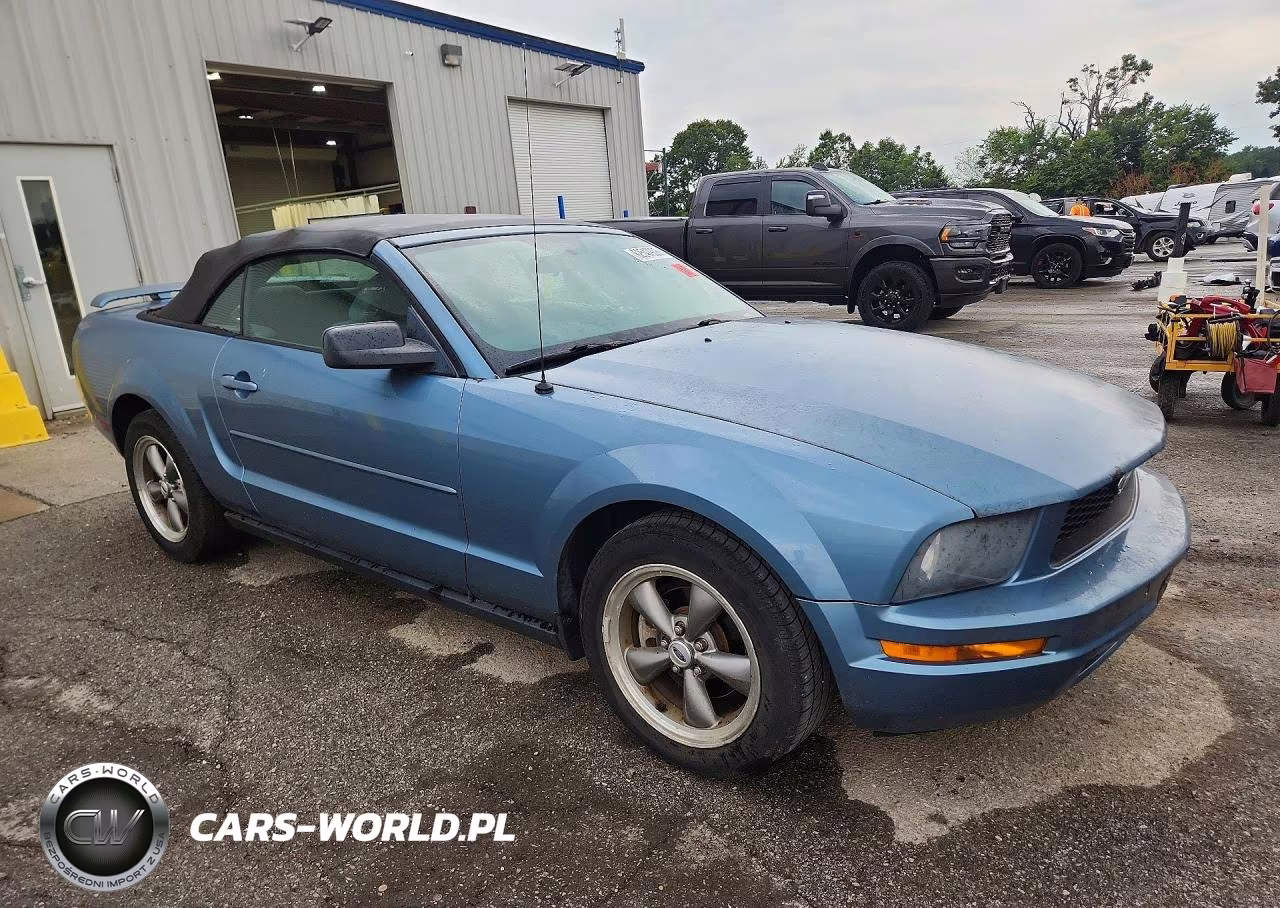 2006 Ford Mustang VIN:1ZVFT84N065109055 - 4