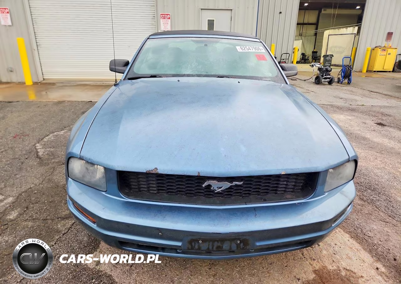 2006 Ford Mustang VIN:1ZVFT84N065109055 - 5