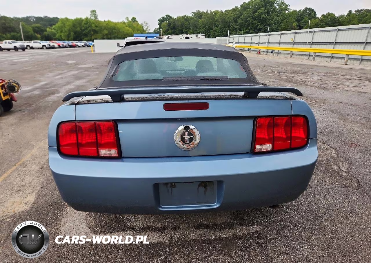 2006 Ford Mustang VIN:1ZVFT84N065109055 - 6