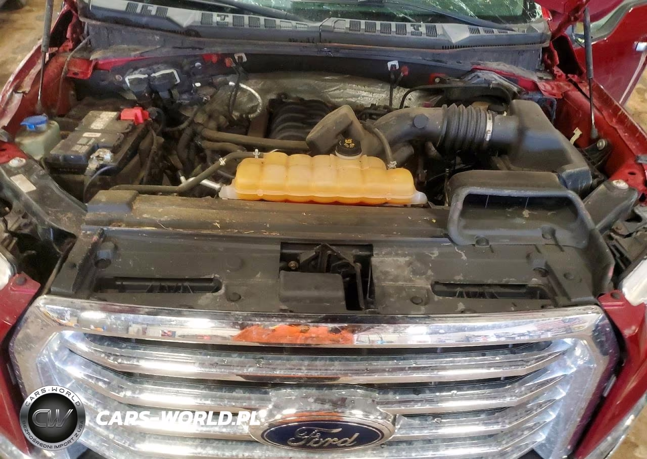2016 Ford F150 Supercrew VIN:1FTEW1EF3GFB53079 - 22