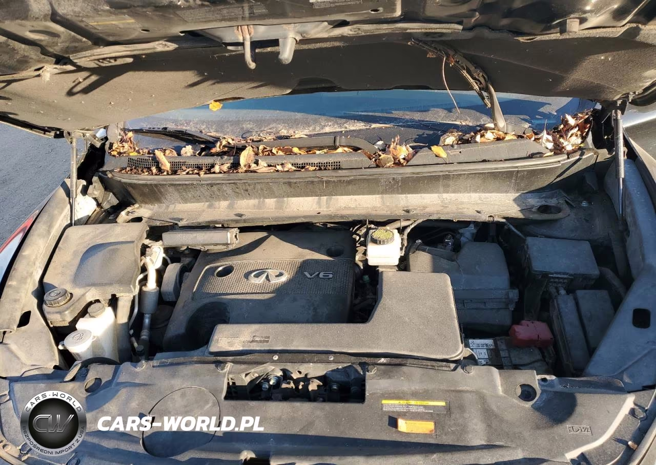 2015 Infiniti Qx60 VIN:5N1AL0MM1FC522244 - 12