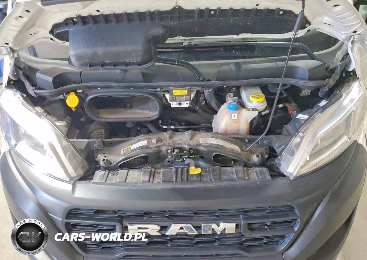 2025 Ram Promaster 2500 Delivery Van VIN:3C6LRVDGXSE506492 - 12