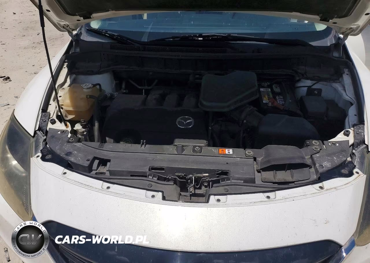 2013 Mazda Cx-9 Sport VIN:JM3TB2BA5D0421511 - 11