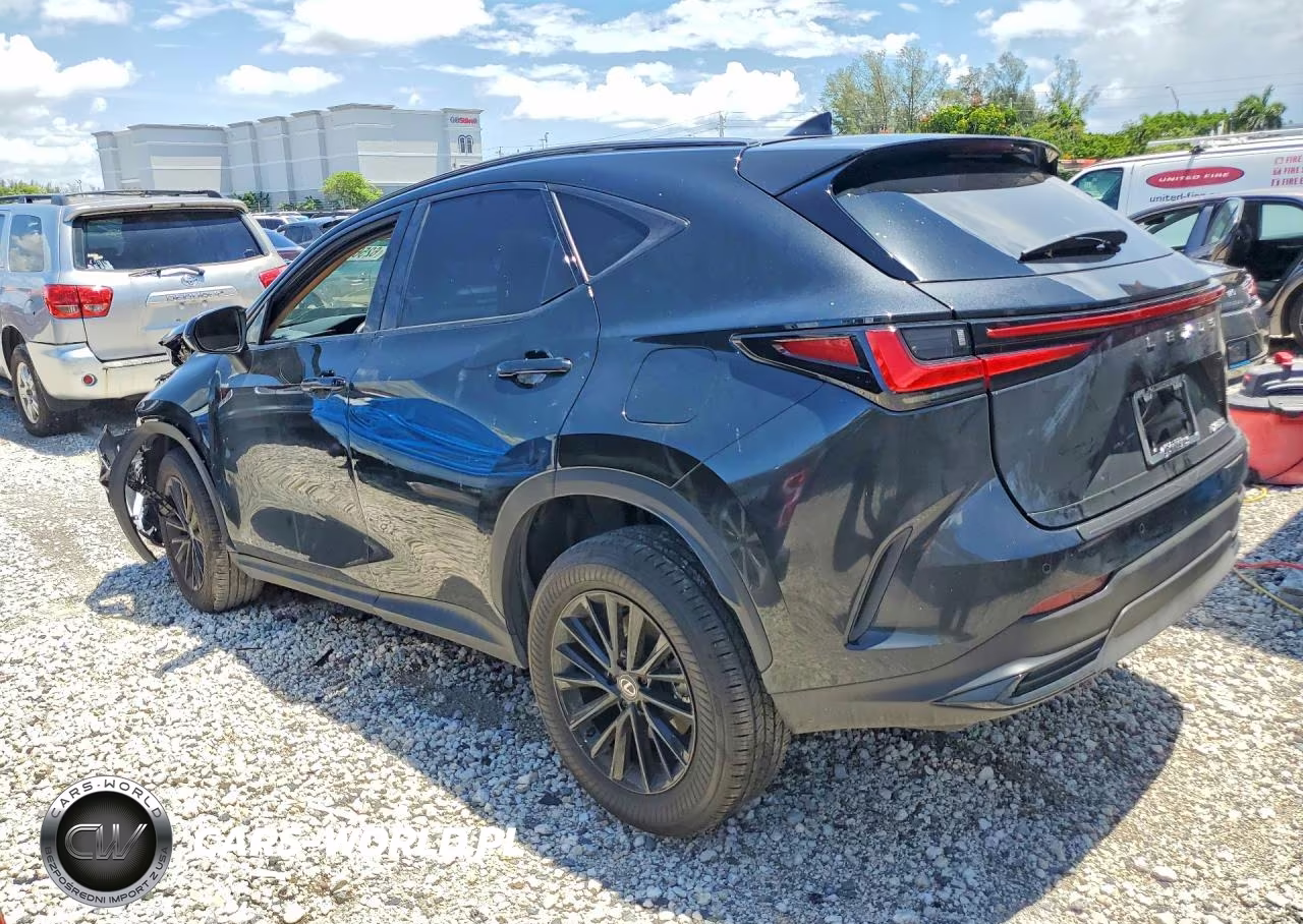 2025 Lexus Nx 250 Base VIN:2T2ADCAZ0SC028926 - 2