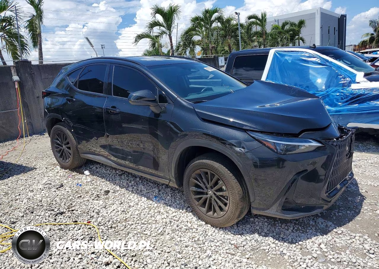 2025 Lexus Nx 250 Base VIN:2T2ADCAZ0SC028926 - 4