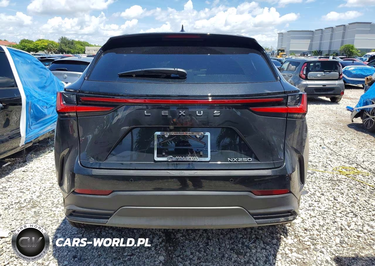 2025 Lexus Nx 250 Base VIN:2T2ADCAZ0SC028926 - 6