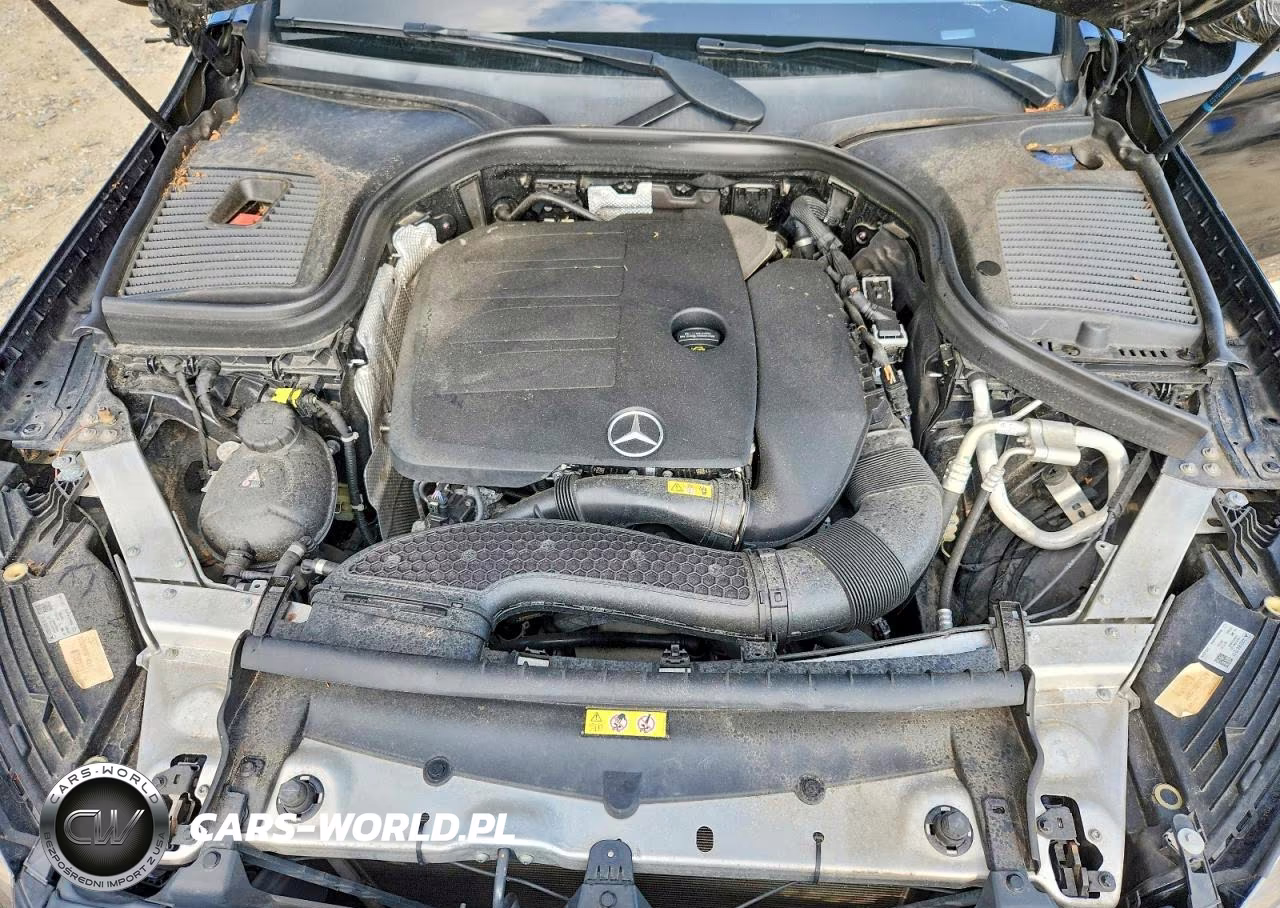 2021 Mercedes-Benz Glc Coupe 300 4Matic VIN:W1N0J8EB8MF916734 - 12