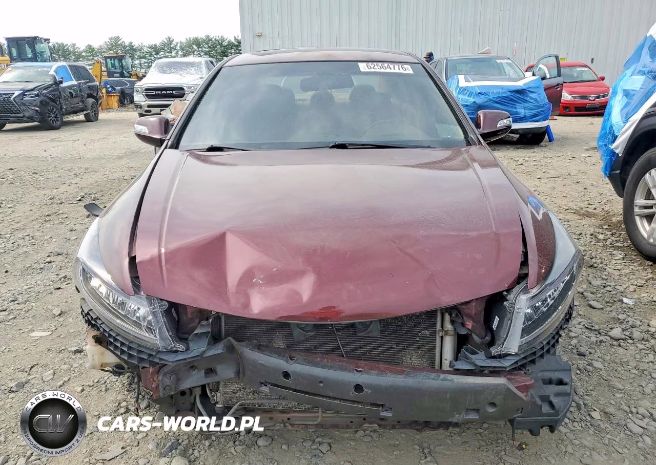 2009 Honda Accord Exl VIN:1HGCP26859A143505 - 5