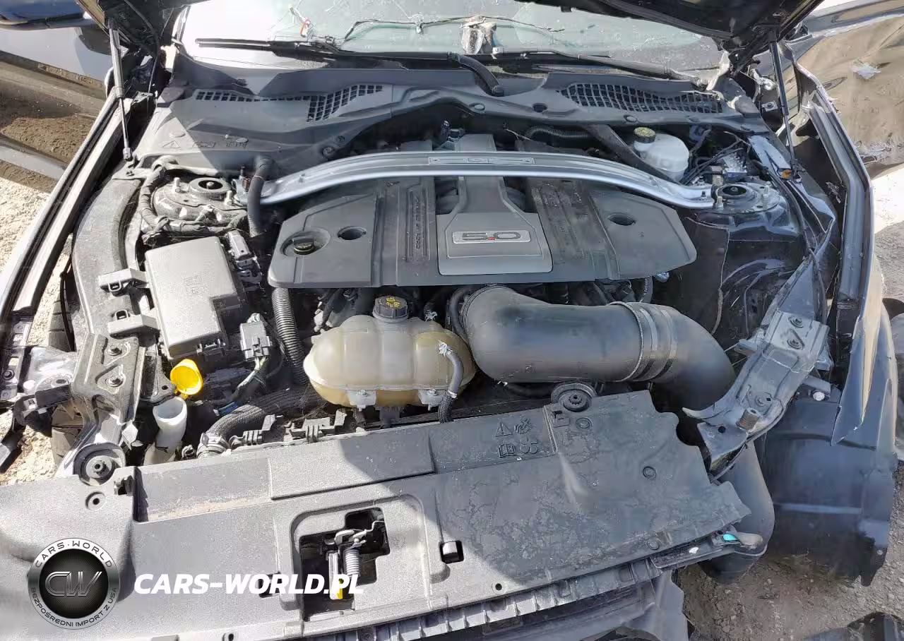 2019 Ford Mustang Gt VIN:1FA6P8CF9K5128270 - 11