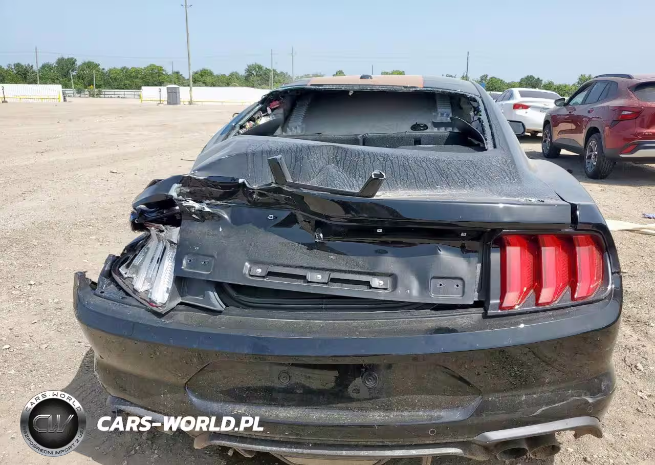 2019 Ford Mustang Gt VIN:1FA6P8CF9K5128270 - 6