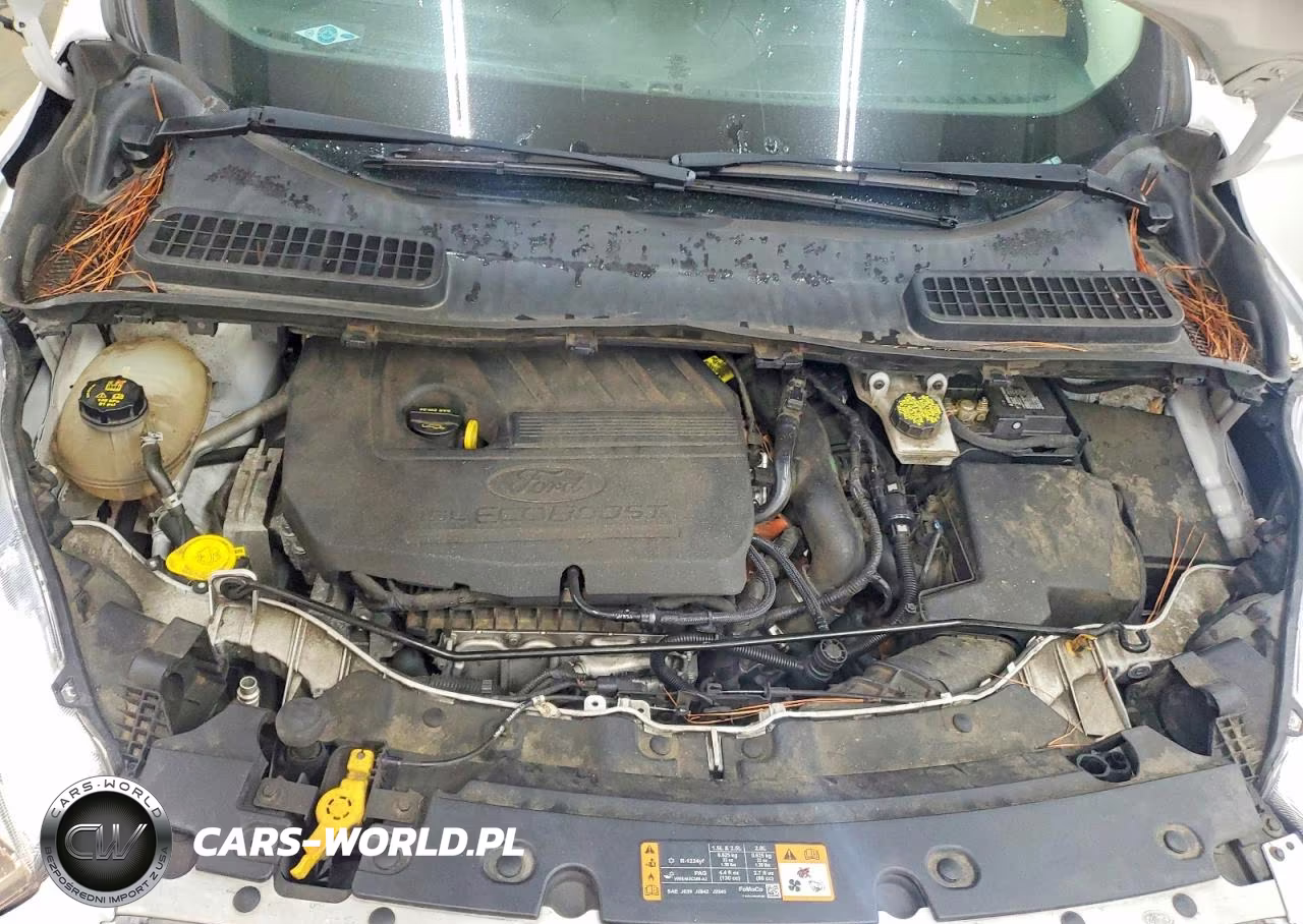 2018 Ford Escape Se VIN:1FMCU0GD7JUD35966 - 12