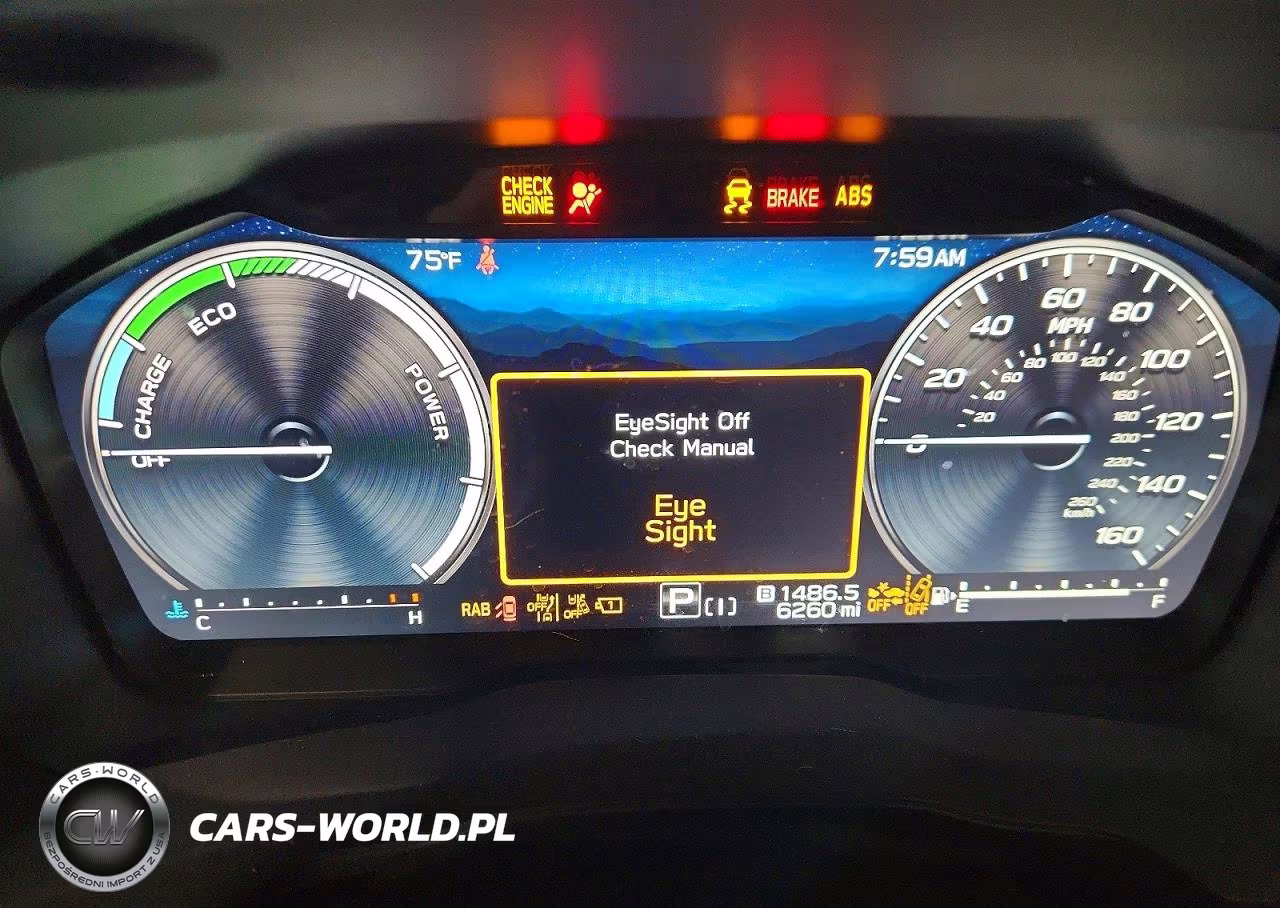 2025 Subaru Forester Touring VIN:JF2SLSTDXSH451713 - 9