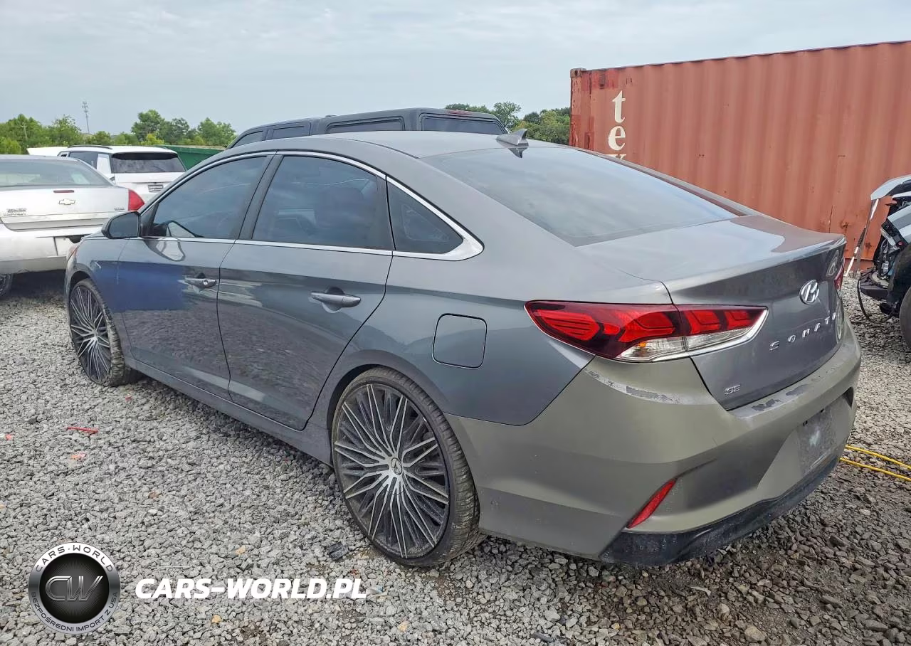 2019 Hyundai Sonata Se VIN:5NPE24AF3KH785484 - 2
