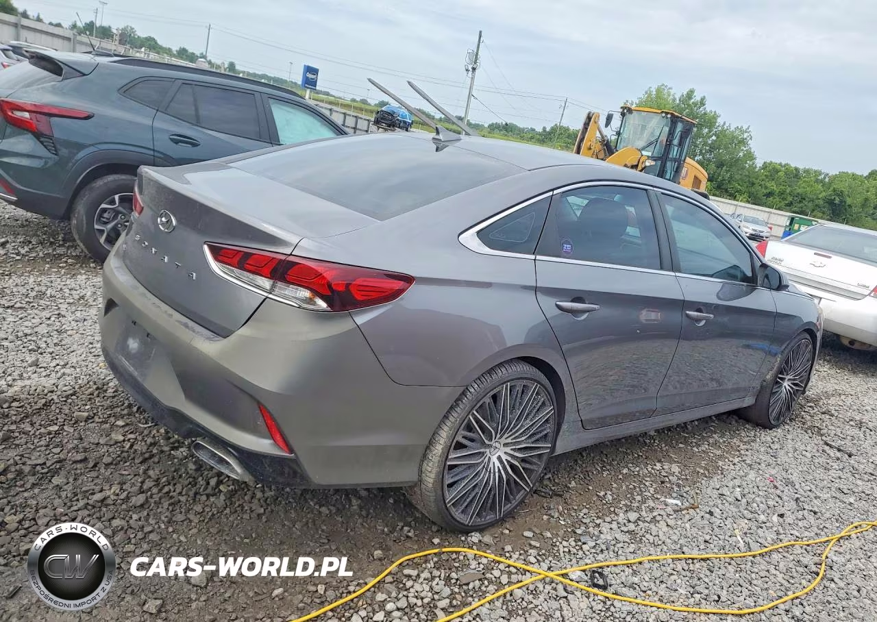 2019 Hyundai Sonata Se VIN:5NPE24AF3KH785484 - 3