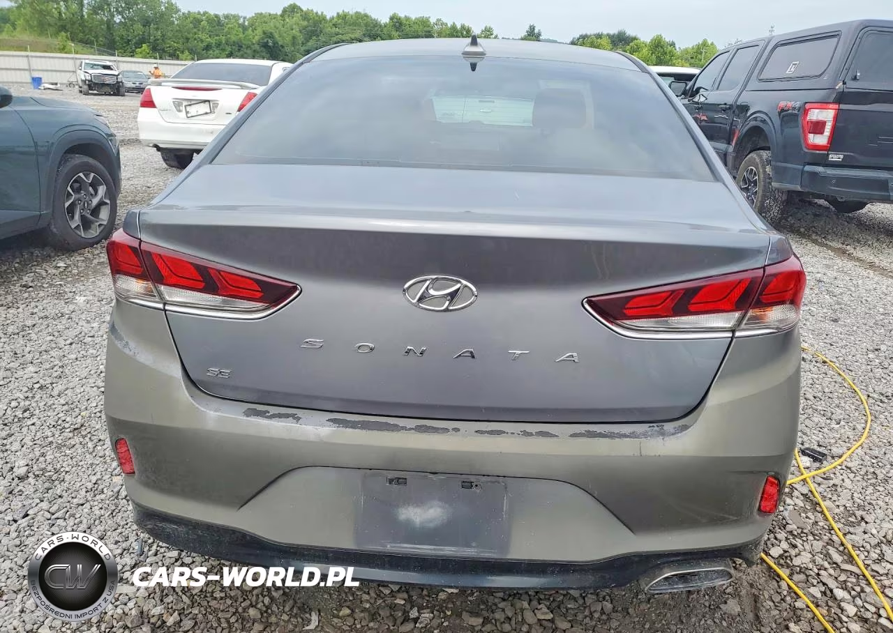 2019 Hyundai Sonata Se VIN:5NPE24AF3KH785484 - 6