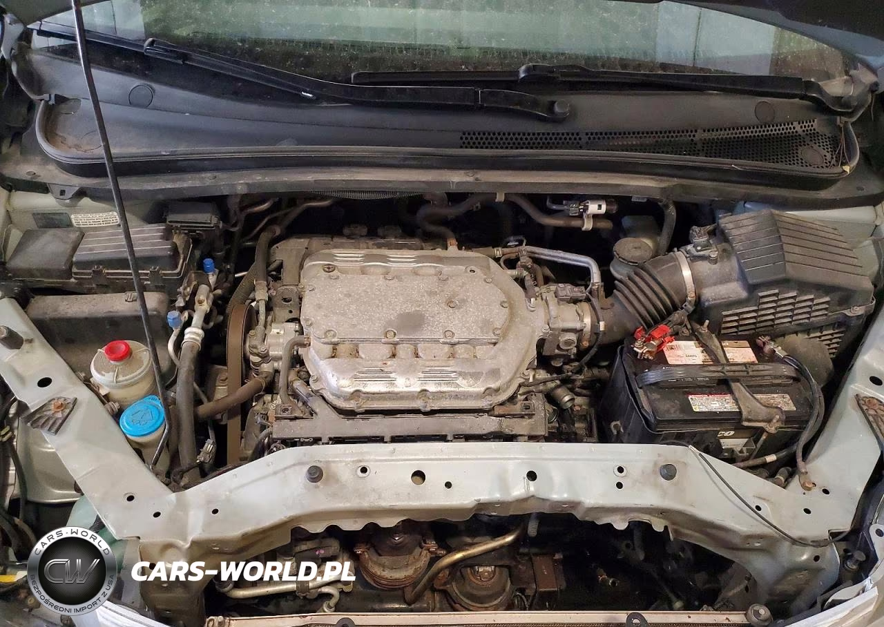 2009 Honda Odyssey Exl VIN:5FNRL38699B013563 - 12