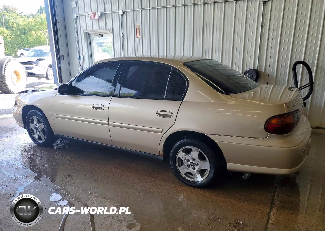 2005 Chevrolet Classic VIN:1G1ND52FX5M172411 - 2