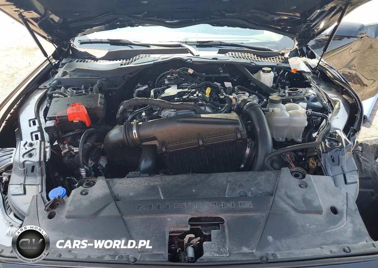 2024 Ford Mustang VIN:1FAGP8UHXR5118202 - 11