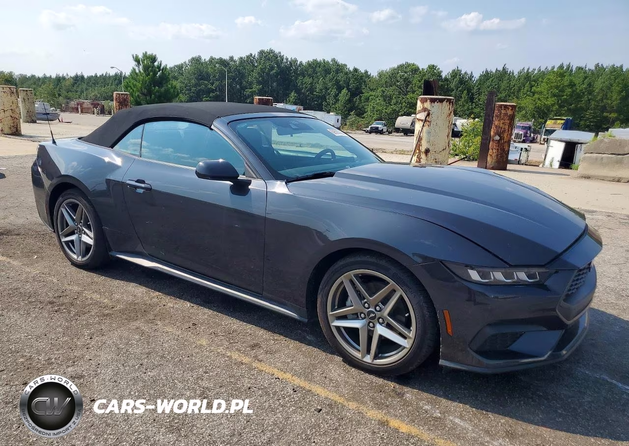 2024 Ford Mustang VIN:1FAGP8UHXR5118202 - 4