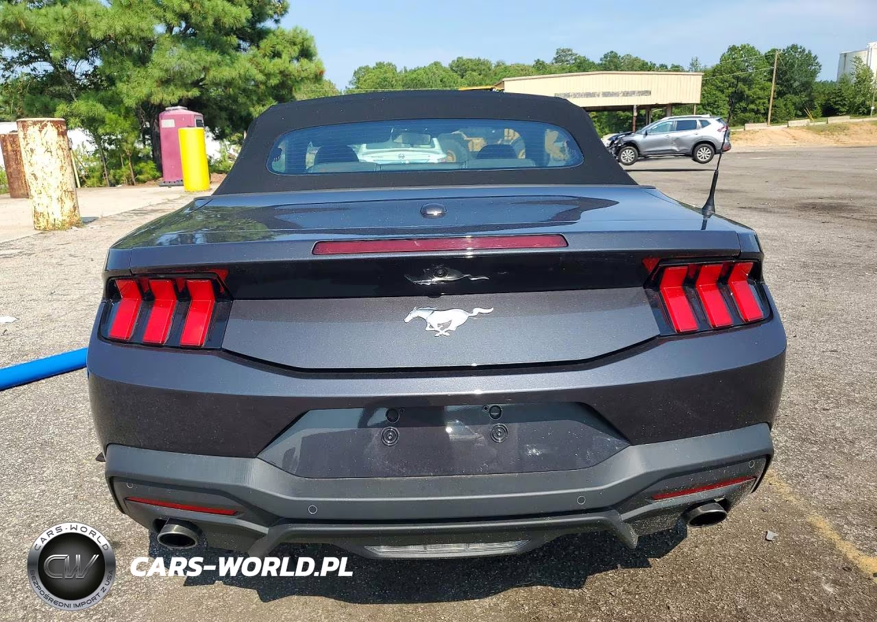 2024 Ford Mustang VIN:1FAGP8UHXR5118202 - 6
