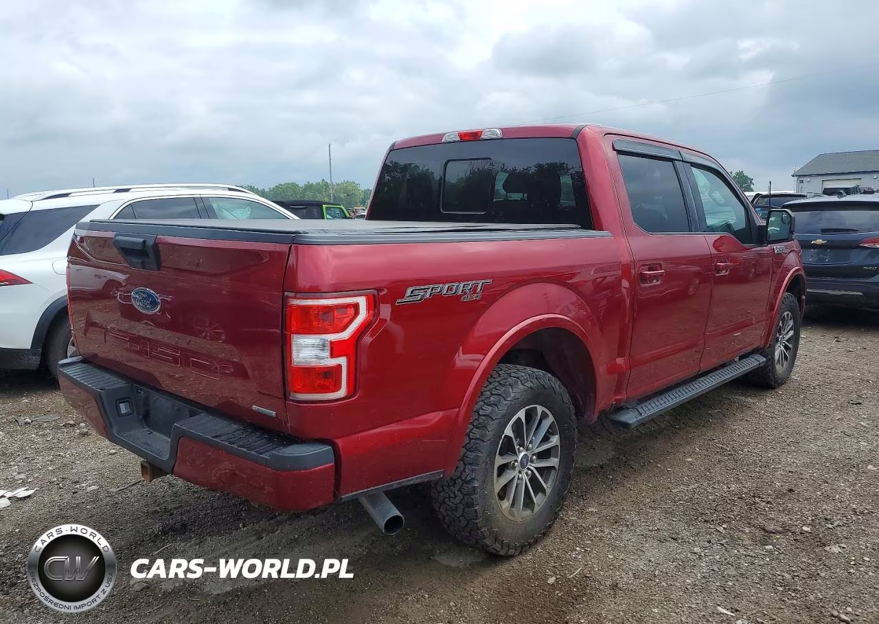 2019 Ford F150 Supercrew VIN:1FTEW1EP2KFB25307 - 3