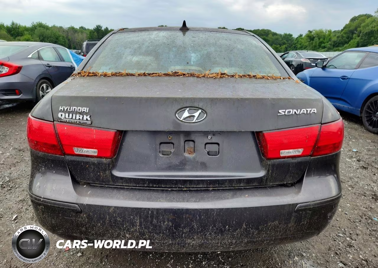 2010 Hyundai Sonata Gls VIN:5NPET4AC5AH584817 - 6