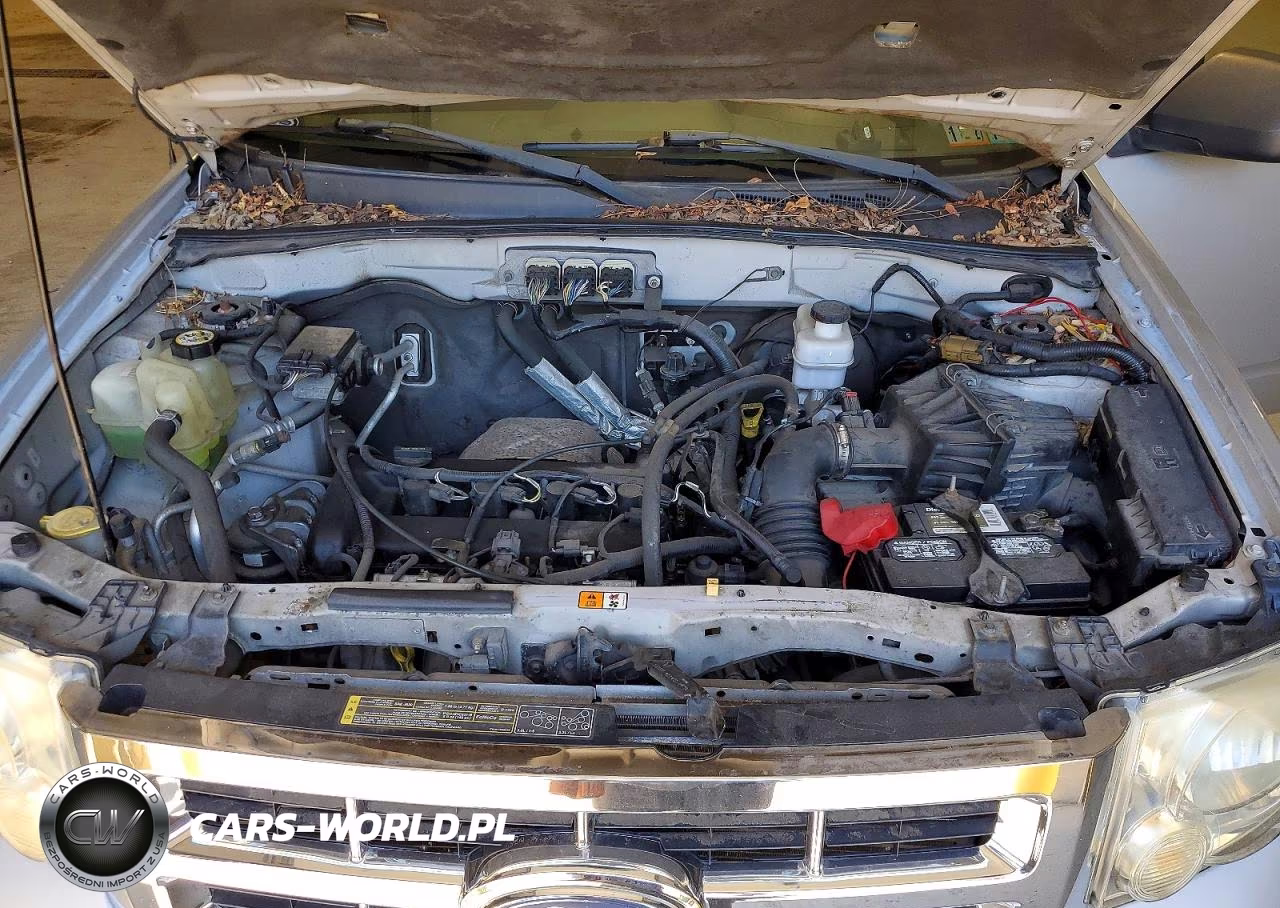 2008 Ford Escape Xlt VIN:1FMCU93Z48KA28153 - 12