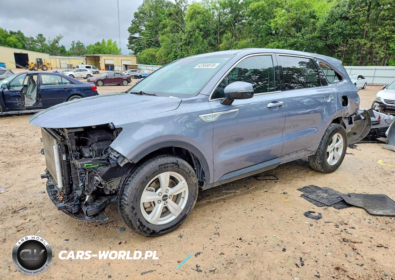2023 Kia Sorento Lx VIN:5XYRG4LC5PG214034 - 1