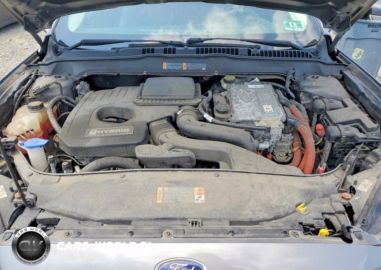 2014 Ford Fusion Titanium Hev VIN:3FA6P0RUXER117223 - 11