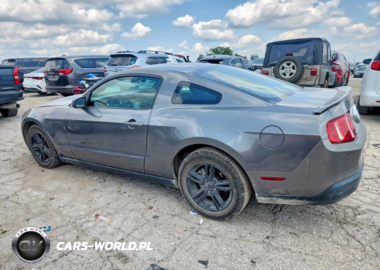 2010 Ford Mustang VIN:1ZVBP8AN4A5164320 - 2