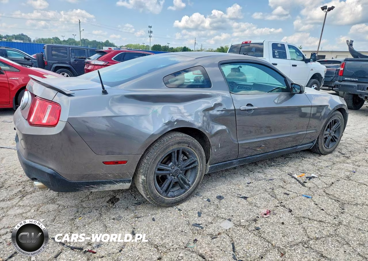 2010 Ford Mustang VIN:1ZVBP8AN4A5164320 - 3