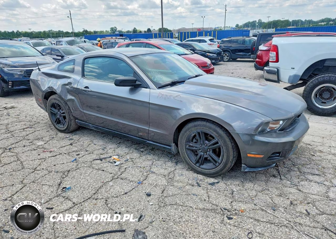 2010 Ford Mustang VIN:1ZVBP8AN4A5164320 - 4