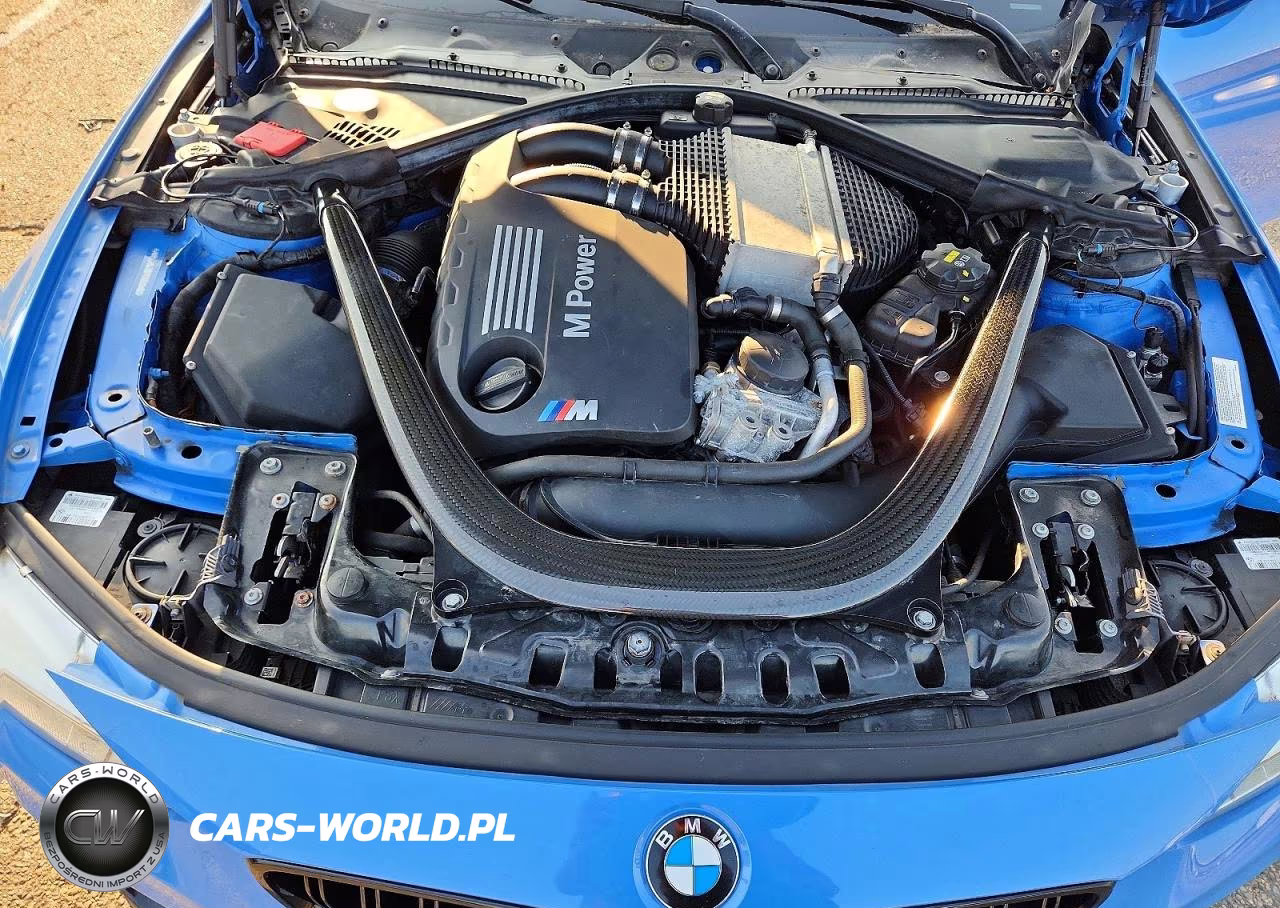 2015 BMW M4 VIN:WBS3R9C56FK333646 - 11
