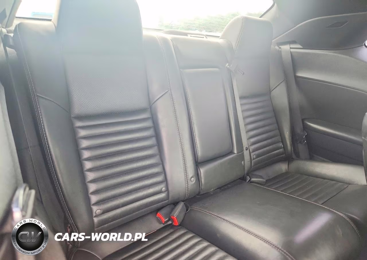 2010 Dodge Challenger R-T VIN:2B3CJ5DT3AH278384 - 10