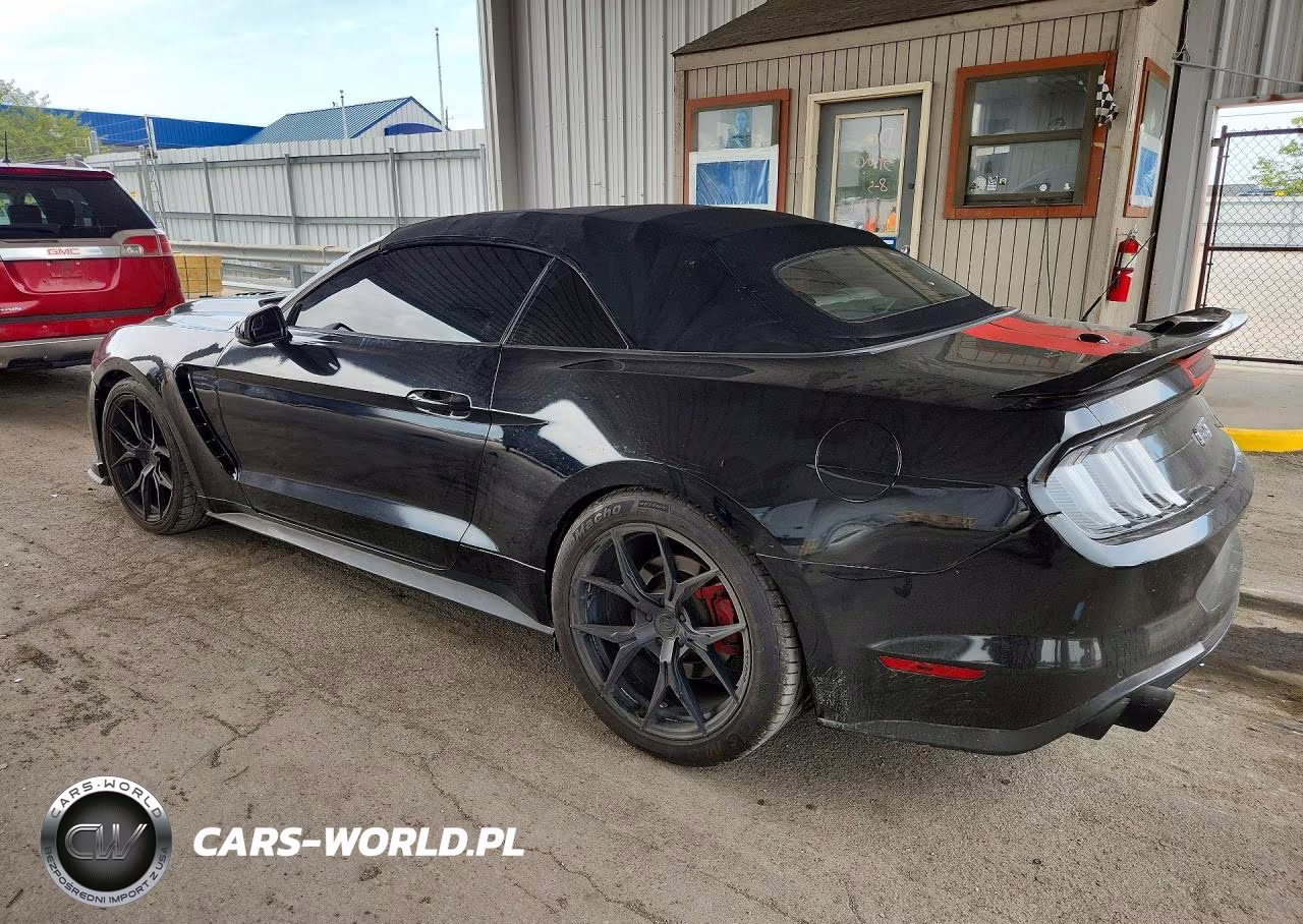2019 Ford Mustang Gt VIN:1FATP8FFXK5170316 - 2