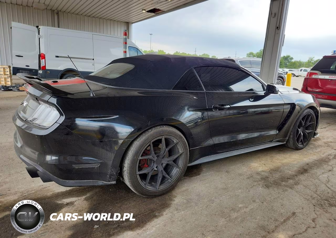 2019 Ford Mustang Gt VIN:1FATP8FFXK5170316 - 3