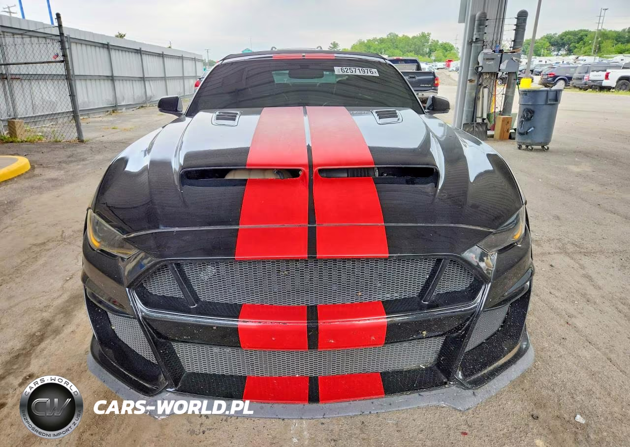 2019 Ford Mustang Gt VIN:1FATP8FFXK5170316 - 5
