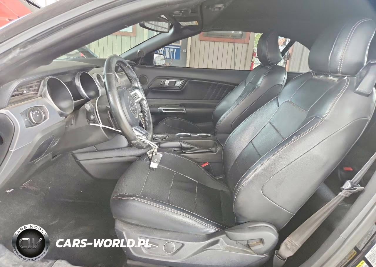 2019 Ford Mustang Gt VIN:1FATP8FFXK5170316 - 7