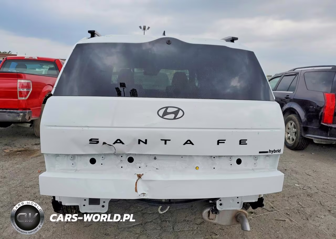 2026 Hyundai Santa Fe Calligraphy VIN:5NMP5DG16TH080883 - 6