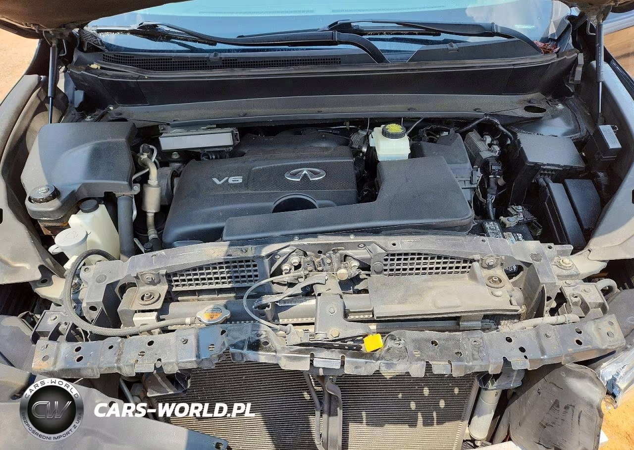 2019 Infiniti Qx60 Pure VIN:5N1DL0MM9KC549277 - 12